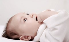 ���б������̷۲��˼���